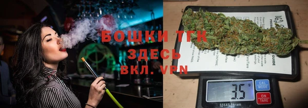 сатива Алексеевка