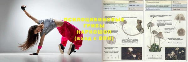 круглые Алзамай