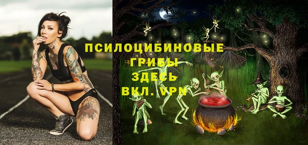 сатива Алексеевка
