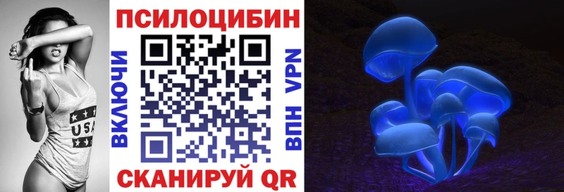 Псилоцибиновые грибы Psilocybine cubensis  Южно-Сухокумск 